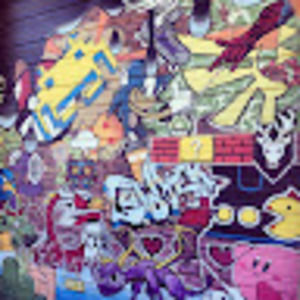 Meet your Posher, Holly